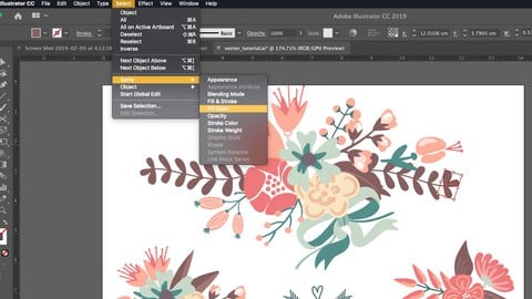 Adobe Illustrator Facile: impara velocemente a usarlo