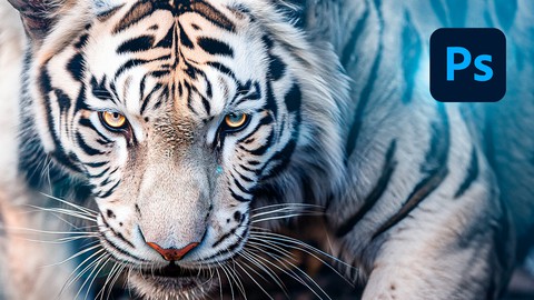 Domine o Design para Mídias Sociais com Photoshop