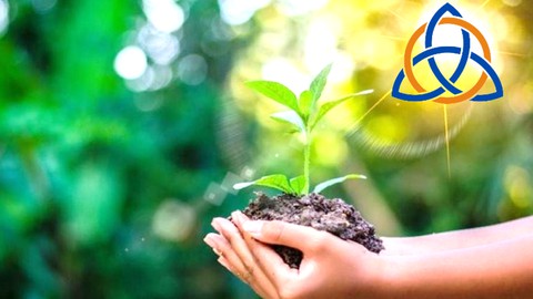 ESG ESPECIALIZAÇÃO SUSTENTABILIDADE ORGANIZAÇÃO AVANÇADO