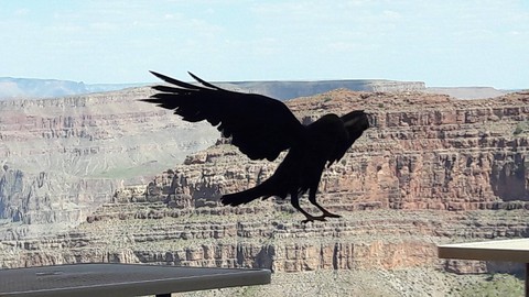 First Steps in Management: A Practical Guide