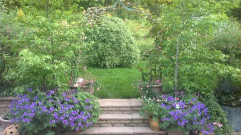 An Introduction to Green Finance and Ethical Investment