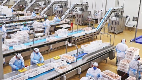 Auditor Interno da ISO 22000 - Segurança de Alimentos