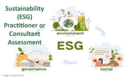 ESG Sustainability Practitioner Consultant Assessment Test