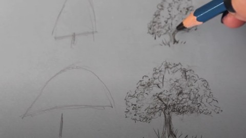 Como desenhar árvores