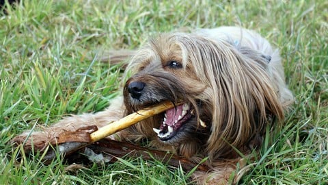 All About Buying and Building Dental Practice