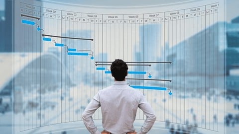 Gestion de Proyectos Oracle Primavera P6 ver 21 y Power BI