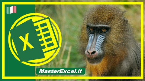 Corso Excel Avanzato: Pivot e Funzioni Avanzate